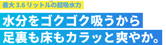 最大3.6リットル(※1)の超吸水力 水分をゴクゴク吸うから足裏も床もカラッと爽やか。
